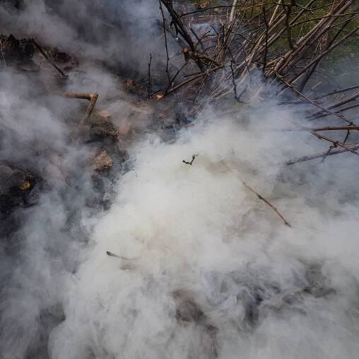 Thick white smoke pouring from a smouldering pile of cut branches and leaves
