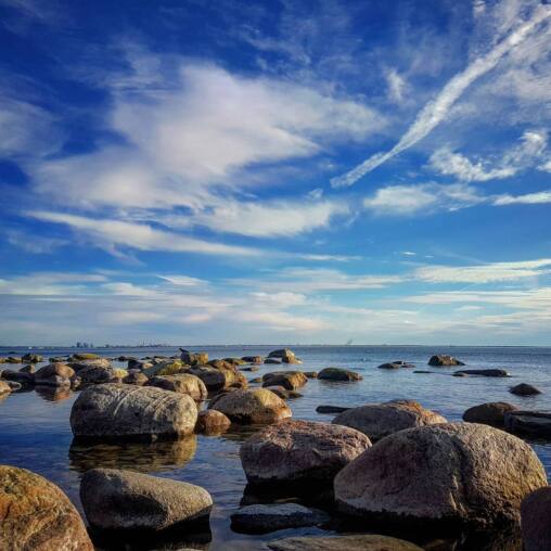 Granite boulders scattered through shallow calm water, the Tallinn skyline distant under a wide sky streaked with cirrus