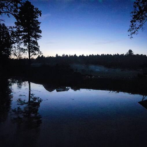 Still pond at blue hour reflecting the pale sky, dark oaks framing the water and a spruce treeline beyond