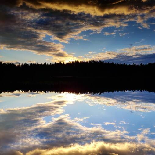 Sunset clouds mirrored so perfectly in a still lake that the treeline splits the frame into two identical skies