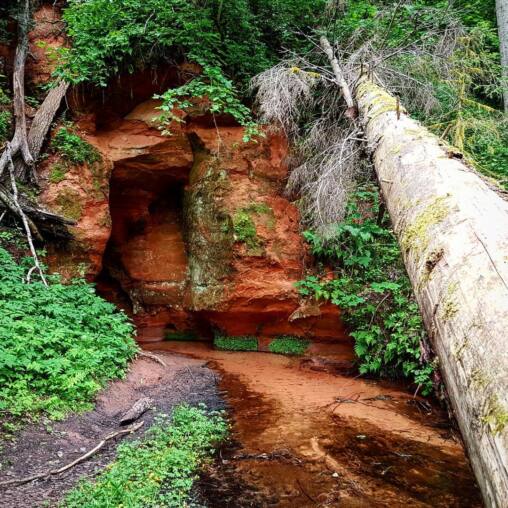 Eroded red sandstone outcrop above a shallow stream running over rust-coloured sand, a fallen mossy log across the frame