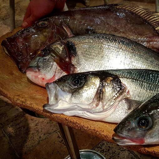 Whole fresh fish laid on a wooden board, sea bass, bream and a large brown grouper, presented tableside