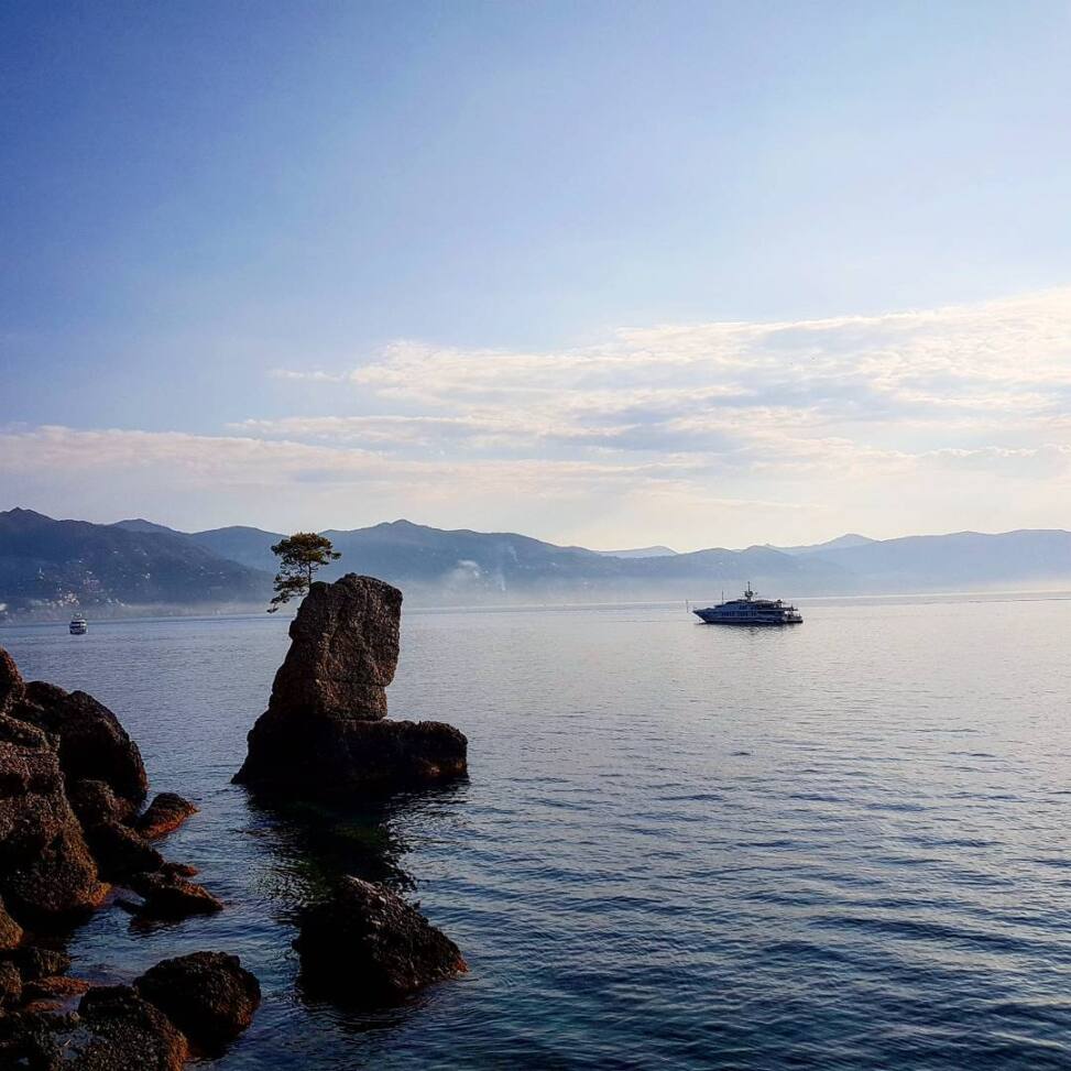 Lone pine growing from a sea stack in calm water, hazy Ligurian hills behind and a white yacht at anchor
