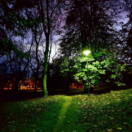 Park lamp glowing green-white among chestnut leaves at dusk, a worn path curving away across the leaf-strewn grass