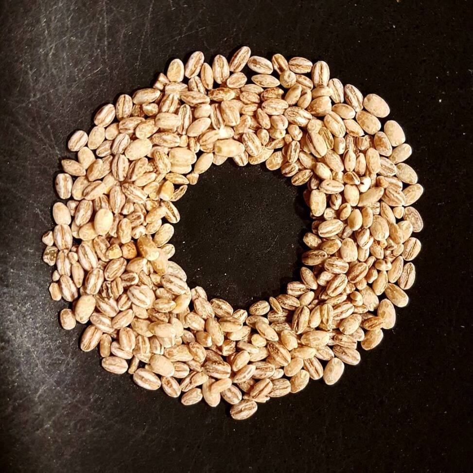 Ring of pearl barley grains arranged in a circle on a dark stone worktop