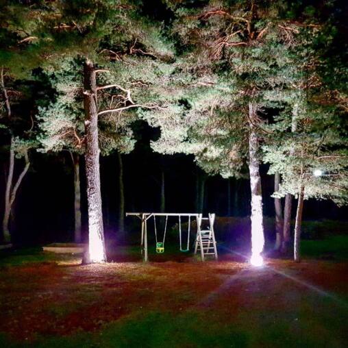 Tall pines uplit white against a black sky at night, a wooden swing frame and slide standing on the sandy ground beneath
