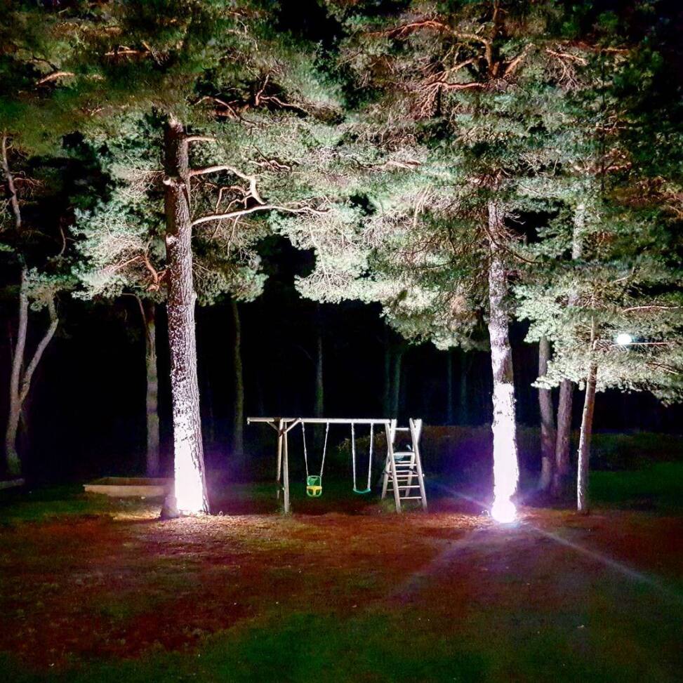Tall pines uplit white against a black sky at night, a wooden swing frame and slide standing on the sandy ground beneath
