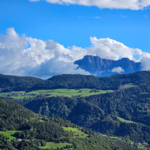 Green wooded valley with pale dolomite peaks on the horizon under cumulus clouds